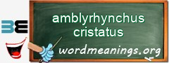 WordMeaning blackboard for amblyrhynchus cristatus